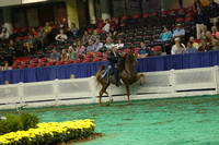 177.  Two-Year-Old Three-Gaited