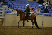 155-AB Western Pleasur Junior Horse
