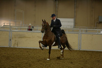 69-ASB Five Gaited Open