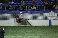 135.  AHHS Youth Road Pony Under Saddle National Championship
