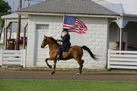 0-Flag Horse