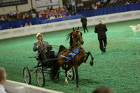 48.  Harness Pony Mare Stake