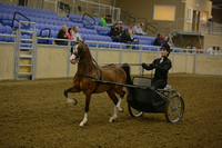 152A-Junior Exhibitor Pony Driving