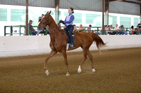 56-Academy WT Equitation 17 & Under  (Section B)