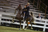 S-15. Open 5 Gaited Stake