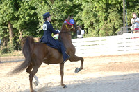 091.  Equitation Championship