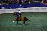 073.  Amateur Road Horse Under Saddle