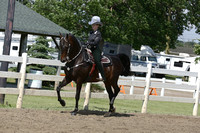 86.  ASB Western Country Pleasure Stake
