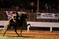 2012 Horse Shows