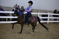 89.  Academy WT Equitation 11 & Over