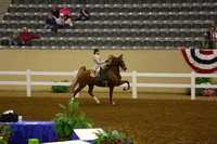 85.  Amateur Five-Gaited Stake