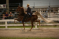28. ASB Five Gaited Open