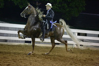 23.  ASB Five-Gaited Open