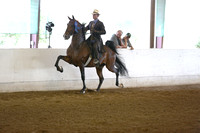 29-ASB Five Gaited Open