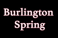 5-Burlington Spring-Official Photographer-May 27 - 28