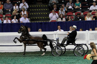 48-Harness Pony Mare Stake