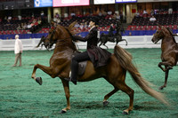 18.  World's Championship Horse Show-ALL UP