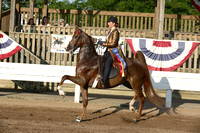 70-Jr Exhibitor Five Gaited Stake