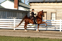 06-ASB Five Gaited Open