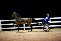 12.  Amateur Road Horse
