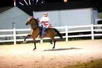 29.  Road Horse Under Saddle