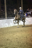 23.  ASB Five-Gaited Open
