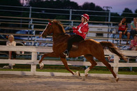 21. Road Horse Under Saddle