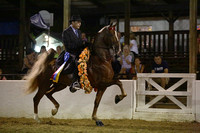 S-11. Open 3 Gaited Stake