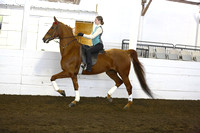 46.  ACAD Equitation Novice Rider-WTC All Ages