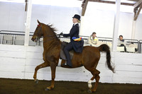 54.  Equitation Championship-All Ages