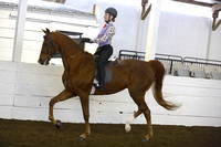82.  ACAD Equitation-WT-14 & Over