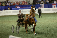 226B.  Three-Year-Old Fine Harness Mares-Div 2
