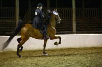 22.  ASB Five-Gaited Open