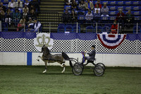 166.  Harness Pony National Championship