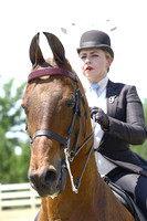 18. Saddle Seat Equitation Adult