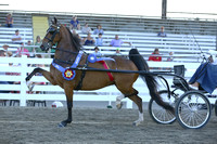 115.  Harness Pony Championship