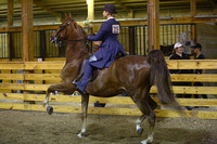 36. Saddle Seat Equitation