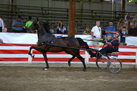25.  Amateur Road Horse