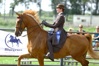 02.  Bluegrass Series-Equitation All Ages