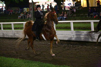 122. ASB Amateur Five-Gaited Stake