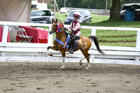 150.1 Road Pony Under Saddle Championship