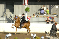47.  ASB Two-Year-Old Three-Gaited
