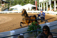 19.  Amateur Road Pony