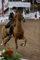 47.  Two-Year-Old Three-Gaited