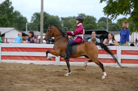 23.  Road Pony Under Saddle 52 inches and under