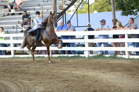 S01.  Amateur-Juvenile Five-Gaited Stake