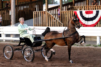 33-Amateur Hackney Pony