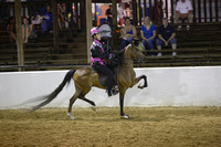 14.  Road Pony Under Saddle