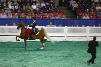 03.  Equitation-KY Riders 17 & Under