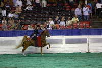 12.  KY County Fair Five-Gaited Championship